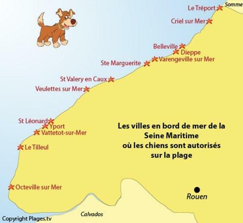 Le Kaleho, Grand Duplex Au Coeur De Dieppe - Netflix Esterno foto